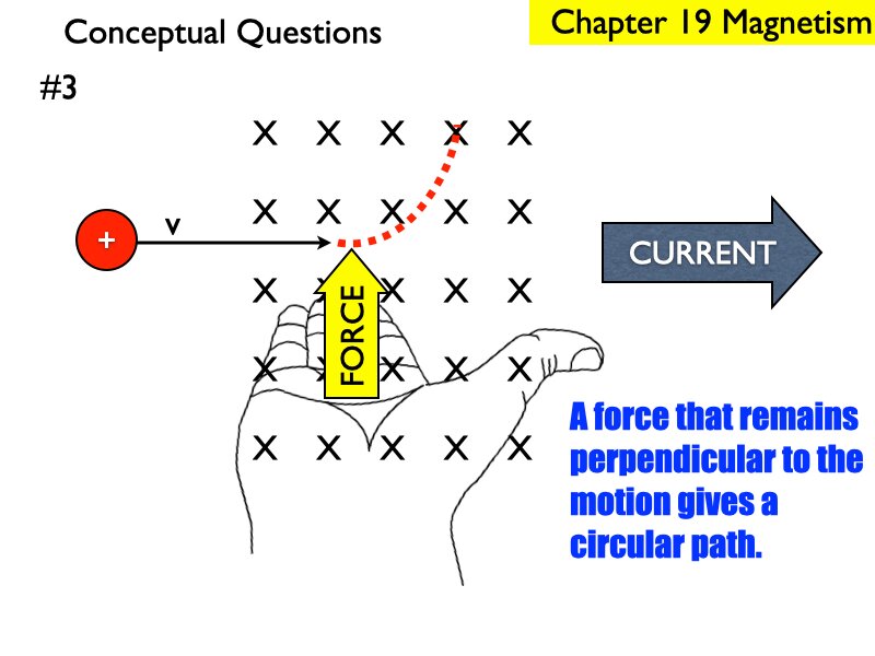 AP_EandM_Answers.182