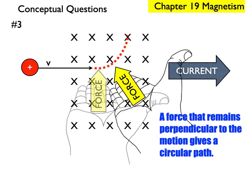 AP_EandM_Answers.183