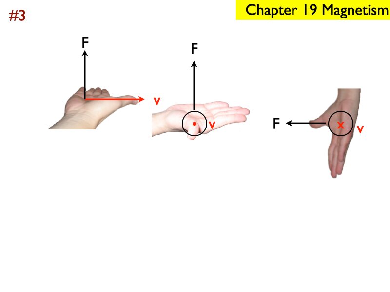 AP_EandM_Answers.188