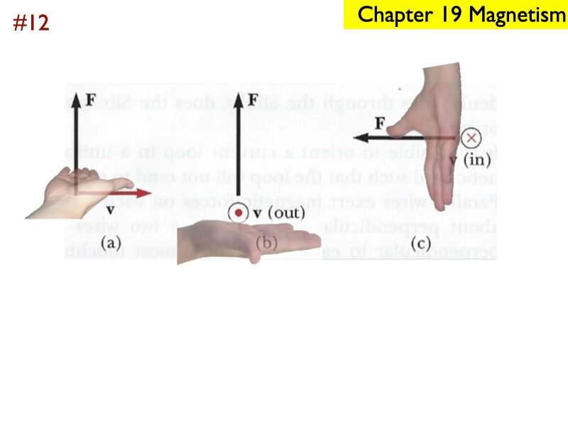 AP_EandM_Answers.191