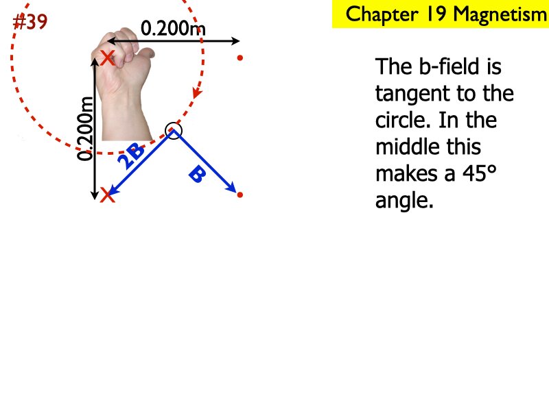 AP_EandM_Answers.204