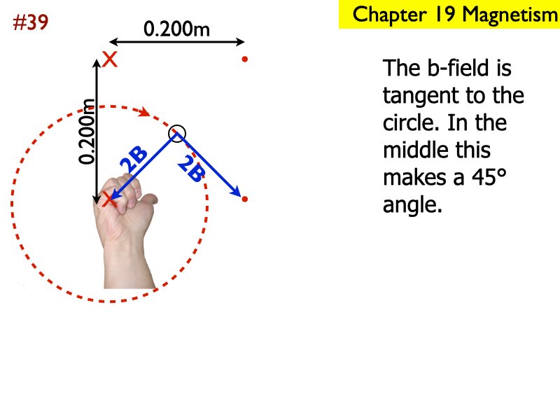 AP_EandM_Answers.205