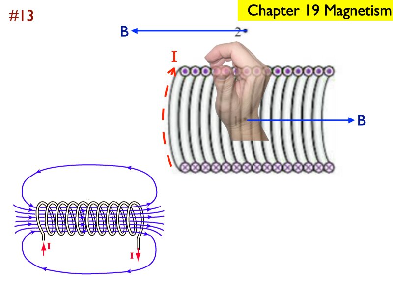 AP_EandM_Answers.216