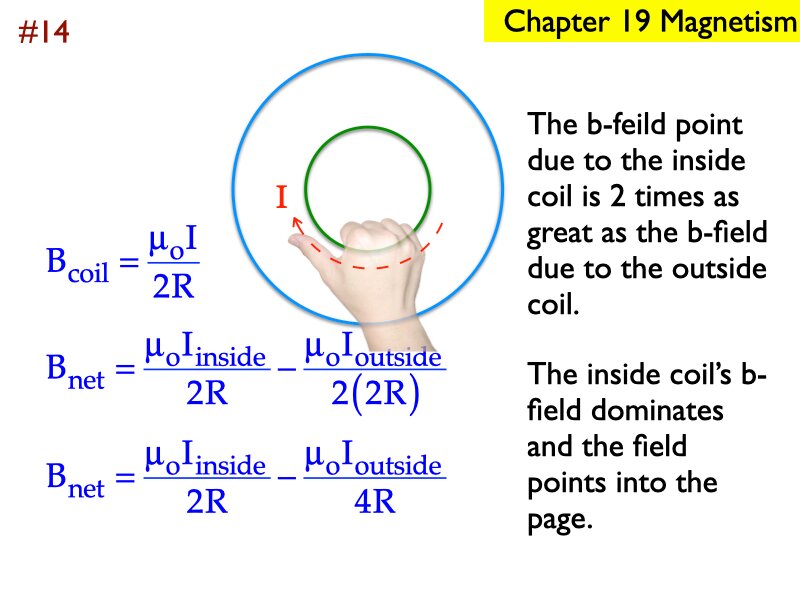 AP_EandM_Answers.217