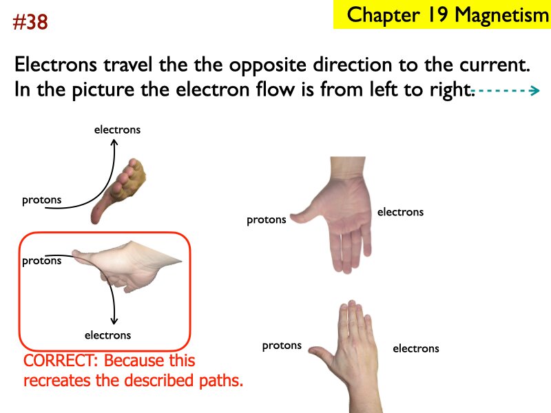 AP_EandM_Answers.229