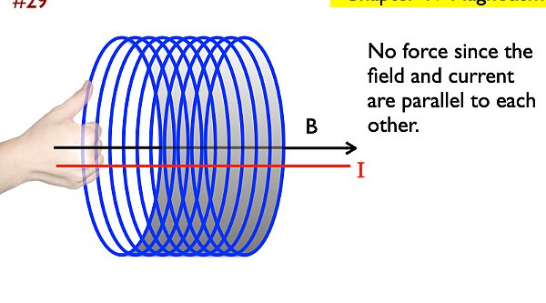 AP_EandM_Answers.221.jpeg